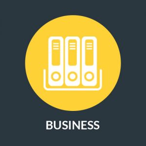 Business Hosting Plan